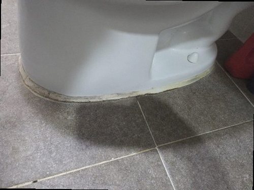 대전 중구 오*진 후기 사진 대전 중구 오*진 후기 사진