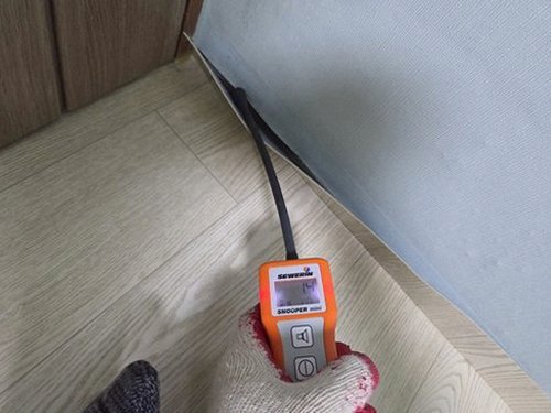 누수탐지 거실 장판의 들뜸과 바닥 습기 흔적을 살피는 모습