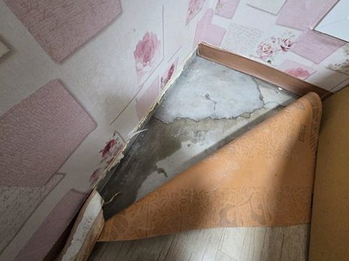 부산 강서구 배*경 후기 사진 부산 강서구 배*경 후기 사진