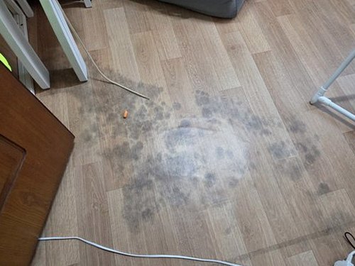 누수탐지 거실 장판 가장자리의 습기와 바닥 상태를 확인하는 모습