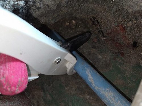 부산 북구 박*수 후기 사진