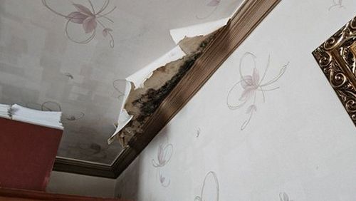 부산 중구 오*경 후기 사진 부산 중구 오*경 후기 사진