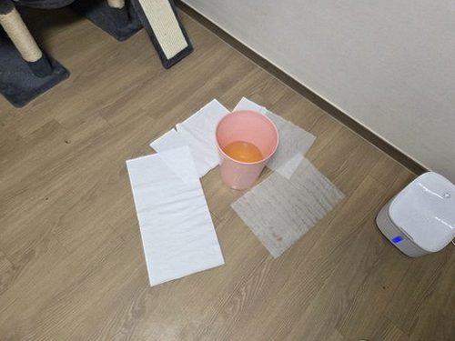 연제구 이*민 후기 사진 연제구 이*민 후기 사진