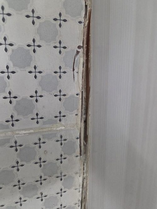 누수탐지 벽면 얼룩 위치와 번짐 방향을 살펴보는 모습