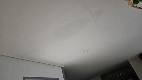 금산군 서*영 후기 사진 금산군 서*영 후기 사진