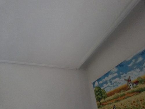 부여군 오*진 후기 사진 부여군 오*진 후기 사진