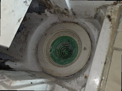 청주시 상당구 배*경 후기 사진 청주시 상당구 배*경 후기 사진
