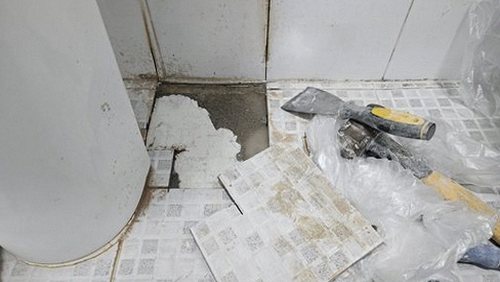 청주시 청원구 강*미 후기 사진 청주시 청원구 강*미 후기 사진