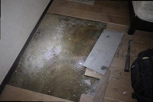 세종시 누수탐지 천장과 벽면에 나타난 누수 얼룩의 확산 방향을 확인하는 모습