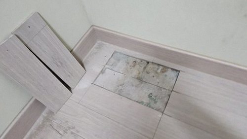 세종시 이*민 후기 사진 세종시 이*민 후기 사진